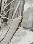 IMG_20191213_134734