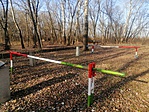 IMG_20191220_124336