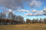IMG_2409_1