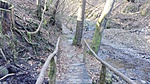 IMG_20191229_110100