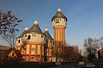 IMG_2281