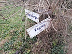 IMG_20191209_105224