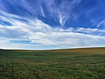 IMG_20191117_130936-01