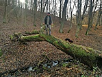IMG_20191117_133334-01