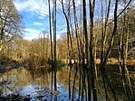 IMG_20191117_134103-01