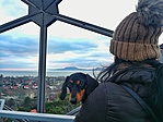 IMG_20191229_154727-01