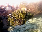 IMG_20191129_081704