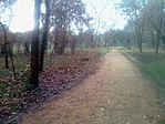 IMG_20191129_095634