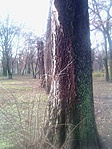 IMG_20191129_095901