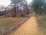 IMG_20191129_100057