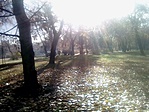 IMG_20191129_101438