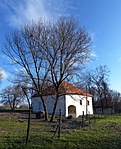 P1190757