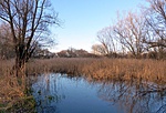 P1190769