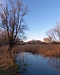 P1190770