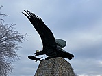 IMG_2118
