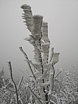 IMG_20200118_123025