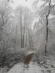 IMG_20200118_120448