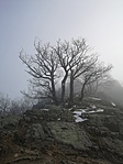 IMG_20200125_120110