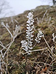 IMG_20200125_121555