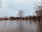 IMG_5812