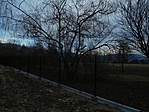 DSCN3029