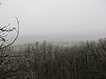 IMG_4951