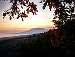 IMG_20191023_174559