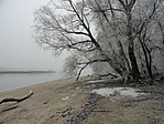 DSC09231