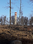 -3
