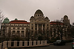 IMG_8810