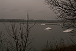 IMG_8832