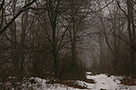 IMG_8899