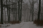 IMG_8910