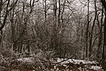 IMG_8911