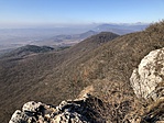 IMG_2356