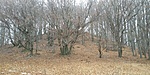20200126_115541