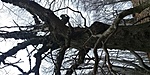 20200126_115657_HDR