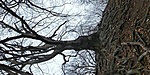 20200126_115831_HDR