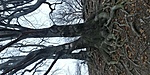 20200126_115834_HDR