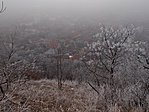 DSCN1657