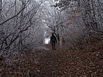 DSCN1660