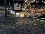 DSCN1564