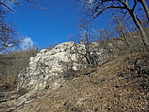 DSC02075