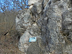 DSC02076