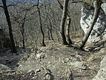 DSC02080