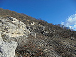 DSC02083