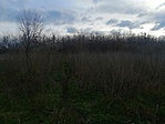 IMG_20191228_113353