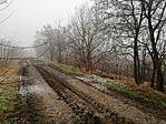 IMG_20200121_105939