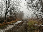 IMG_20200121_105931