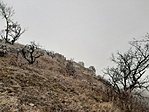 20200125_122449